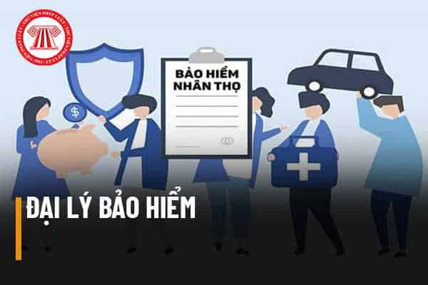 Đại lý bảo hiểm nhân thọ là gì? Quyền lợi khi làm đại lý bảo hiểm