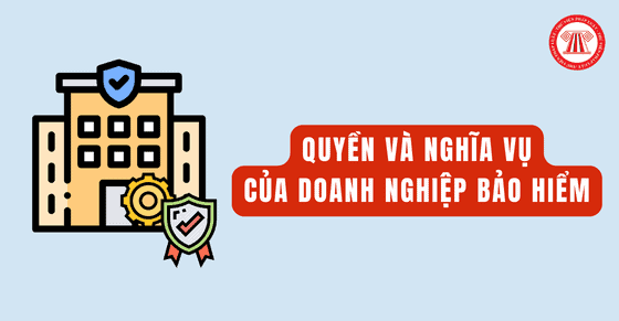 Quyền và nghĩa vụ của doanh nghiệp bảo hiểm