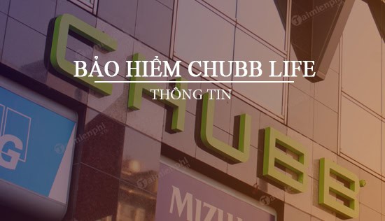 Hủy hợp đồng bảo hiểm Chubb Life phải lưu ý những gì?