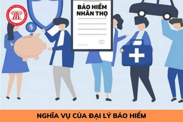 Nghĩa vụ của đại lý bảo hiểm là gì