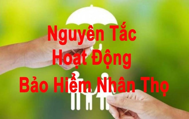 Nguyên tắc hoạt động của bảo hiểm nhân thọ