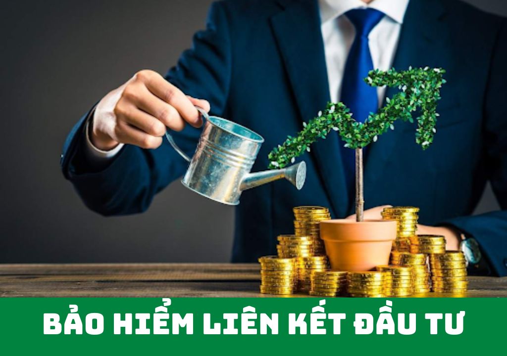 Ai nên mua bảo hiểm liên kết đơn vị?