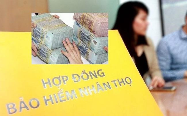 Bảo tức trong hợp đồng bảo hiểm nhân thọ